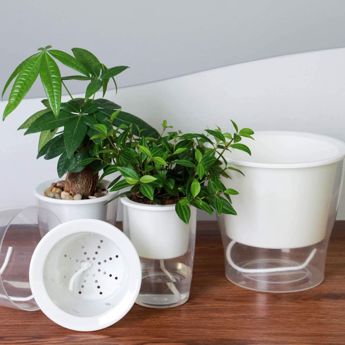 Set of 3 Large 7-Inch Clear Self-Watering Planters for Indoor Plants - Ideal for African Violets, Herbs, Orchids, and Spider Plants - Durable Plastic Design in Clear and White