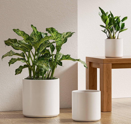 Set of 3 White Indoor Plant Pots (10", 8", and 6") with Drainage Hole and Plug for Indoor and Patio Decoration