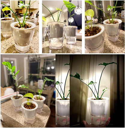 Set of 3 Large 7-Inch Clear Self-Watering Planters for Indoor Plants - Ideal for African Violets, Herbs, Orchids, and Spider Plants - Durable Plastic Design in Clear and White