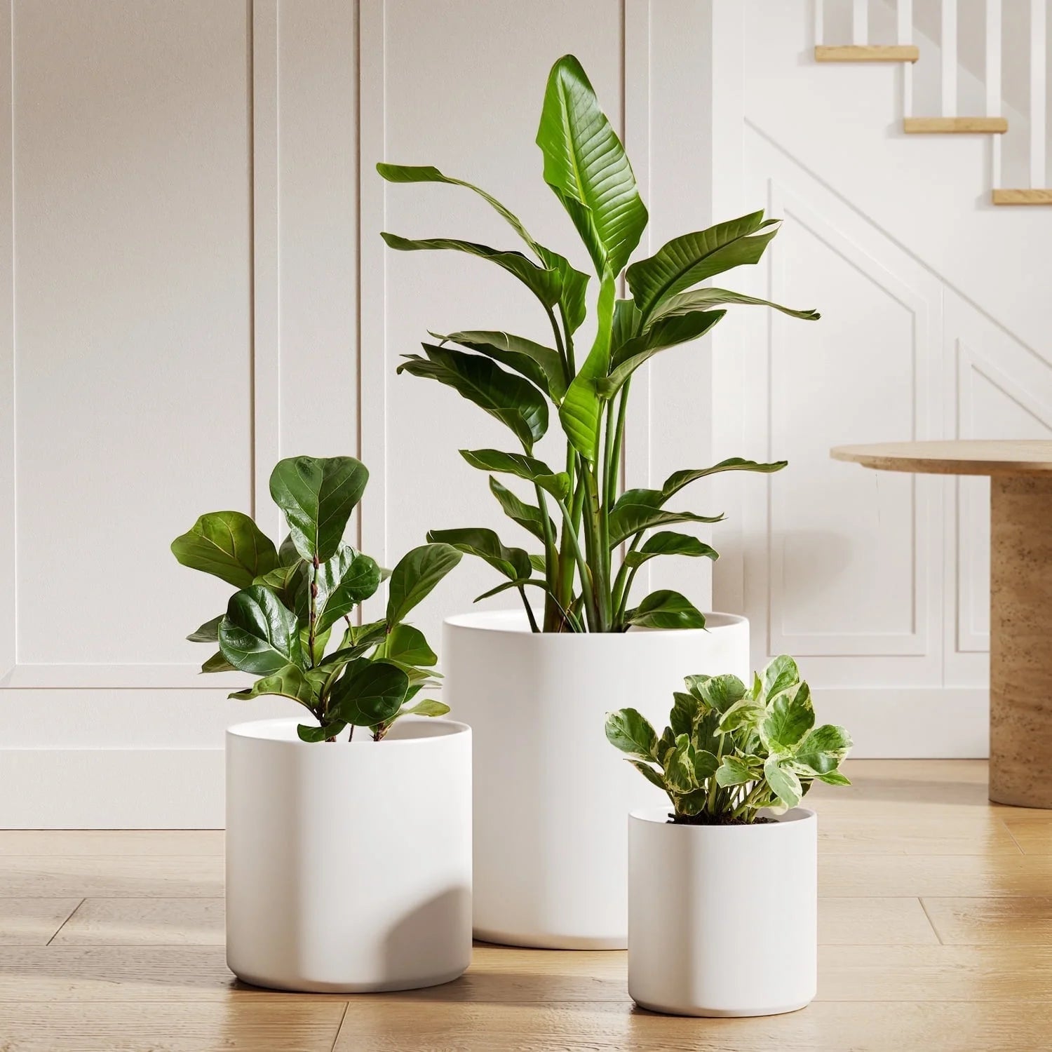 Set of 3 White Indoor Plant Pots (10", 8", and 6") with Drainage Hole and Plug for Indoor and Patio Decoration
