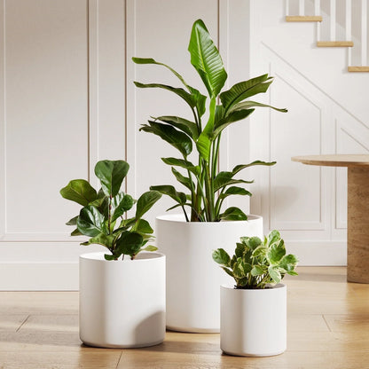 Set of 3 White Indoor Plant Pots (10", 8", and 6") with Drainage Hole and Plug for Indoor and Patio Decoration