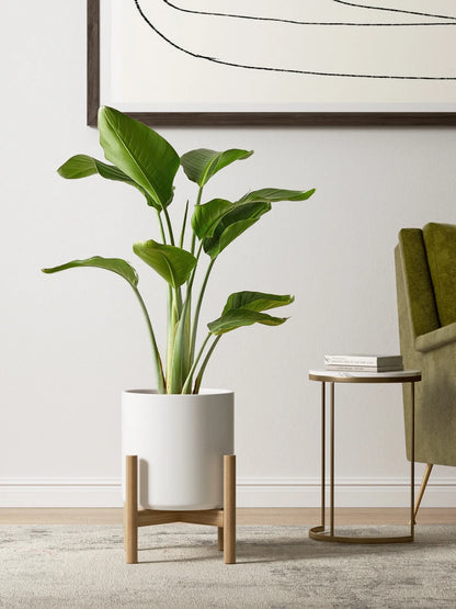 Set of 3 White Indoor Plant Pots (10", 8", and 6") with Drainage Hole and Plug for Indoor and Patio Decoration