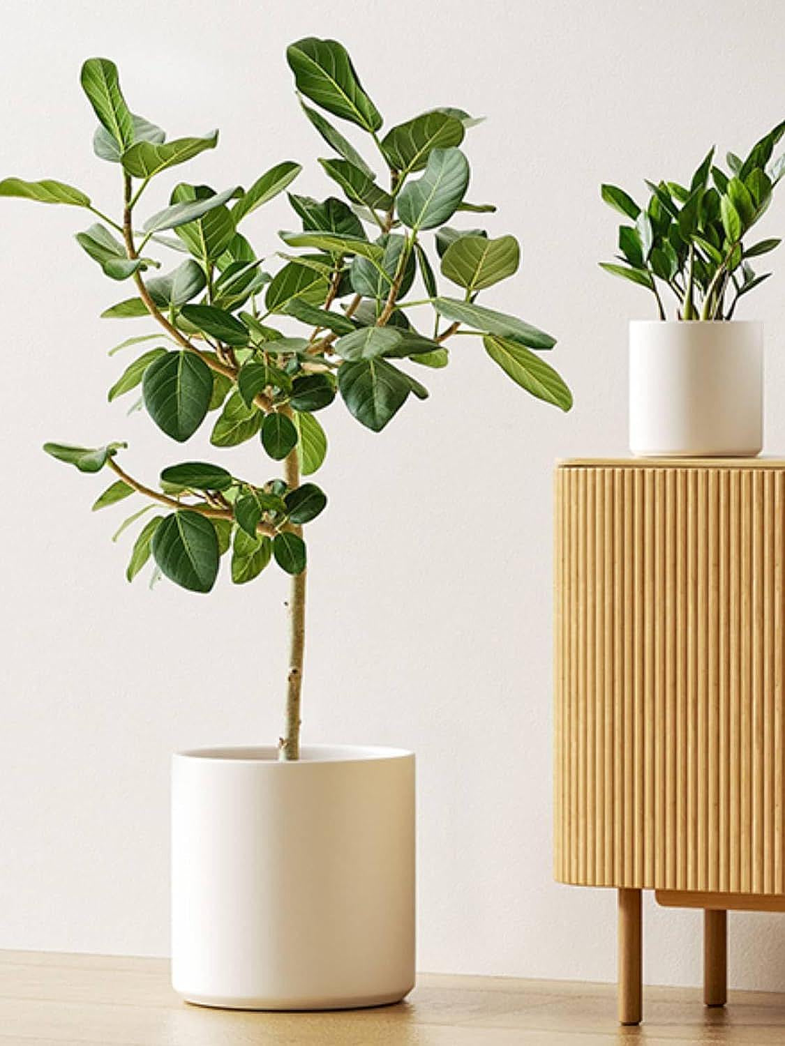 Set of 3 White Indoor Plant Pots (10", 8", and 6") with Drainage Hole and Plug for Indoor and Patio Decoration