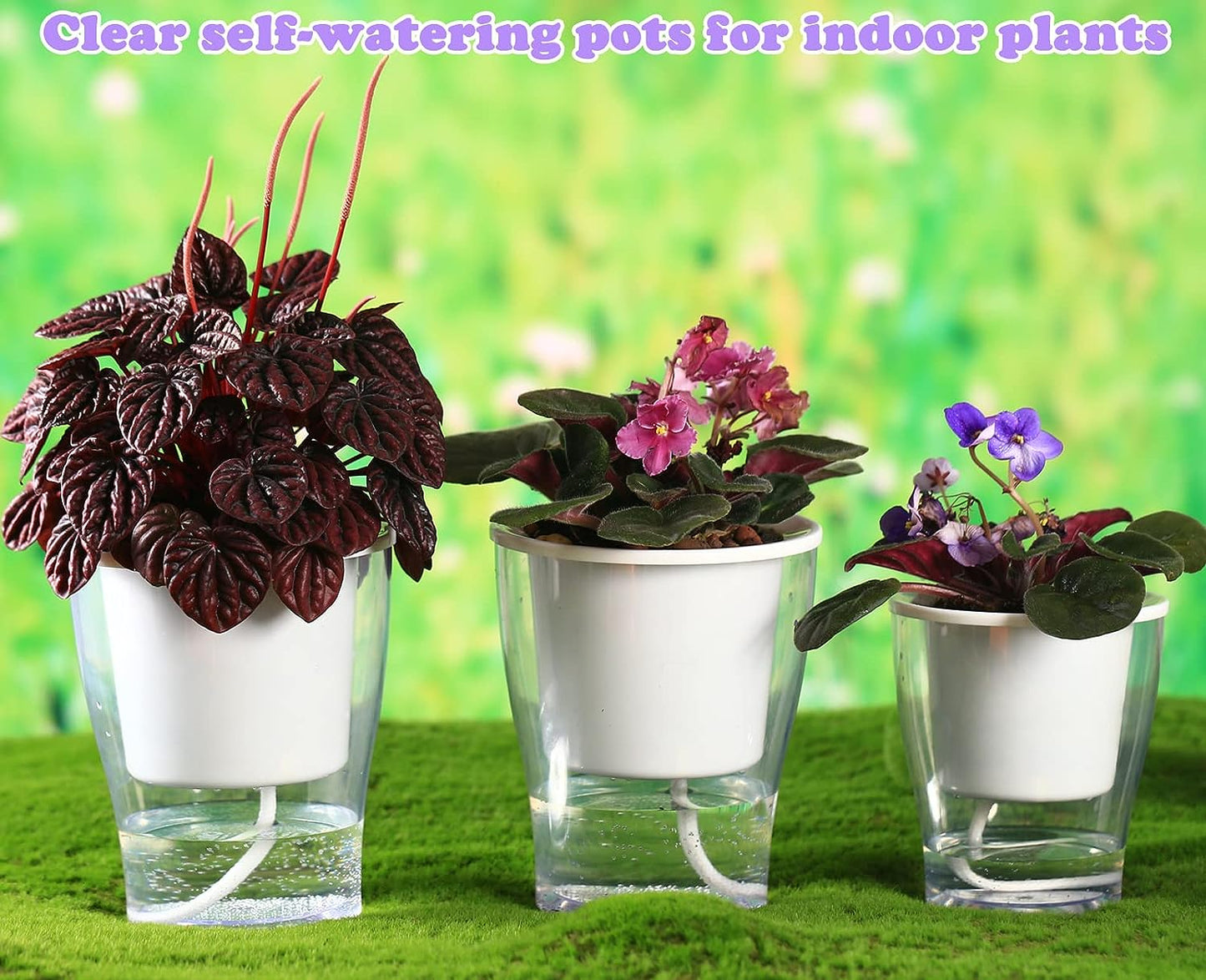 Set of 3 Large 7-Inch Clear Self-Watering Planters for Indoor Plants - Ideal for African Violets, Herbs, Orchids, and Spider Plants - Durable Plastic Design in Clear and White