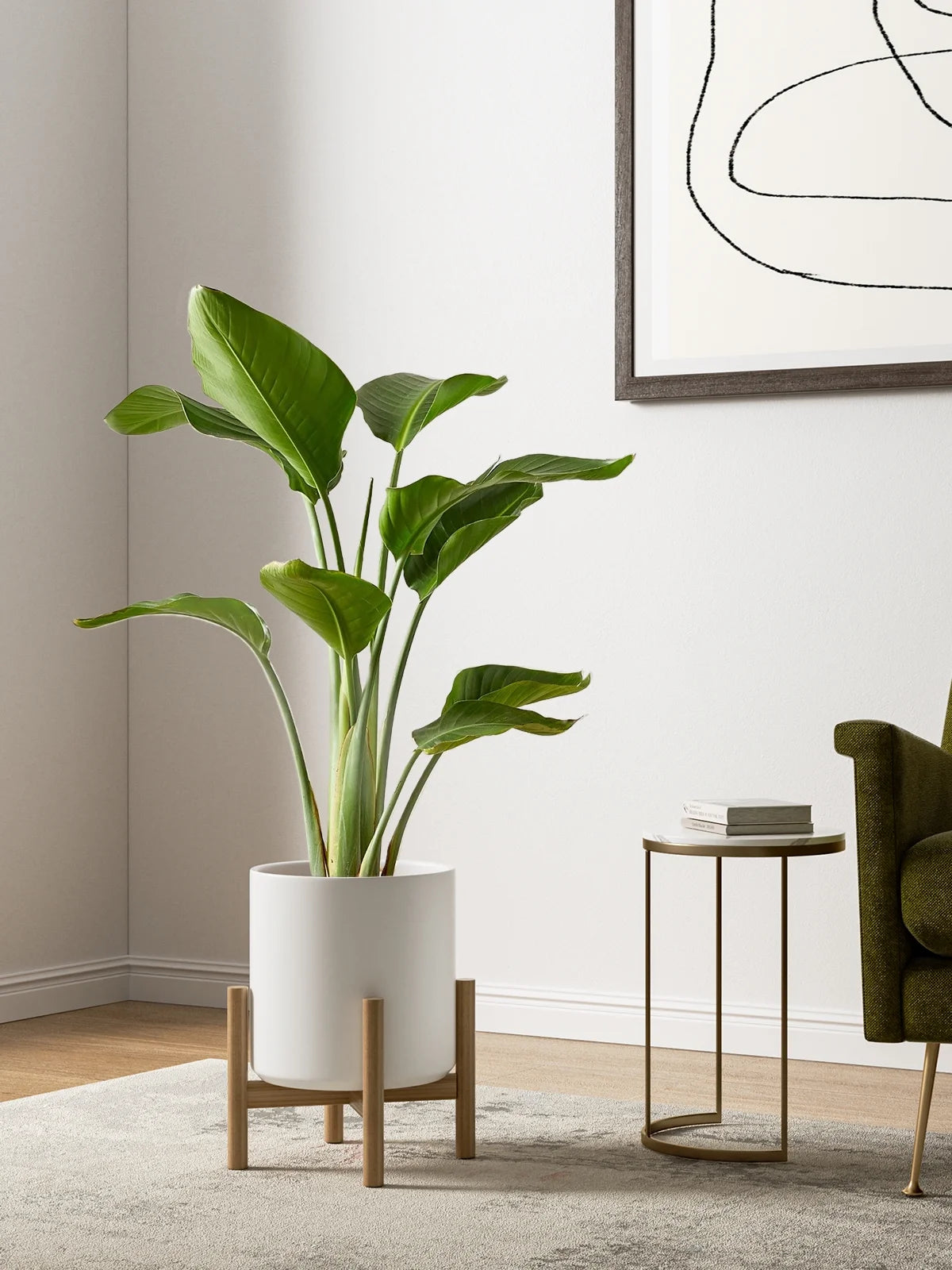 Set of 3 White Indoor Plant Pots (10", 8", and 6") with Drainage Hole and Plug for Indoor and Patio Decoration