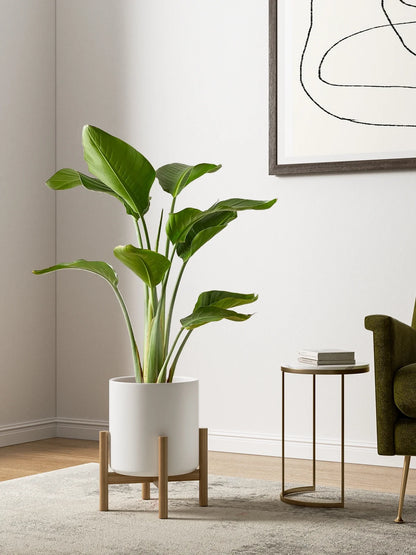 Set of 3 White Indoor Plant Pots (10", 8", and 6") with Drainage Hole and Plug for Indoor and Patio Decoration